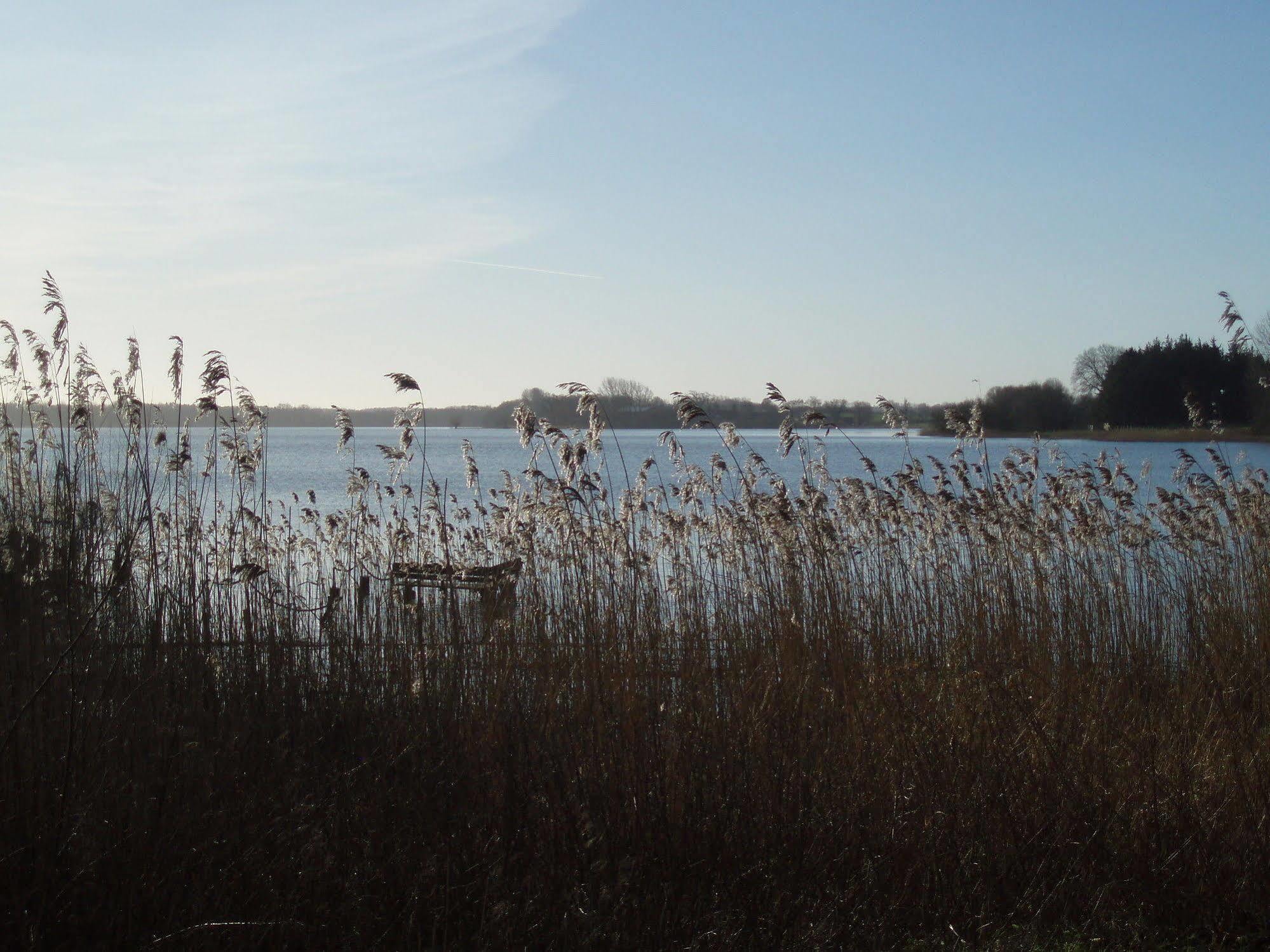 Fischerwiege Am Passader See المظهر الخارجي الصورة